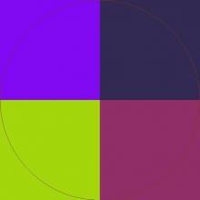 Augue duis ibidem in neque ut.